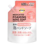 【泡タイプ】トップバリュベストプライス 薬用泡ハンドソープ つめかえ用3回分 トロピカルフルーツの香り 600ml