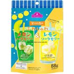 トップバリュ トキメクおやつ部 祭の夜の ふわしゅわメロンソーダゼリー＆レモンソーダゼリー 88g