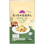 トップバリュ トキメクおやつ部 ちっちゃなおかし ガリサクトースト ガーリック風味 45g