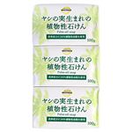 トップバリュベストプライス ヤシの実生まれの植物性石けん 100g×3個