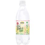 トップバリュベストプライス SparklingWater炭酸水 梅風味 500ml