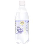 トップバリュベストプライス SparklingWater炭酸水 ブルーベリー 500ml 【7月4日～7月6日の受取り】