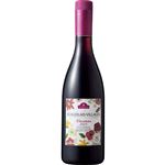 【予約】 トップバリュ ボージョレ・ヴィラージュ・ヌーヴォー 【赤／ミディアムボディ】 750ml 【11月20日～11月23日のお受取り】