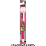 トップバリュ 歯周ケア コシのある高密植毛ハブラシ 歯学博士推奨 やわらかめ 1本