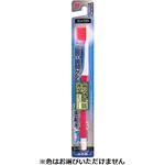 トップバリュ 歯垢を除去する高密植毛ハブラシ 歯学博士推奨 かため 1本