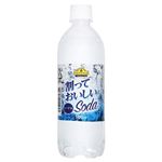 トップバリュベストプライス SODA ソーダ水 500ml(お一人様24本限り)