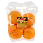 トップバリュ 愛媛県 などの国内産 理由あり清見タンゴール 1袋