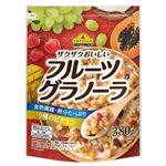 トップバリュベストプライス フルーツグラノラ 380g