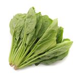 トップバリュグリーンアイオーガニック 茨城県などの国内産 ほうれん草 1袋