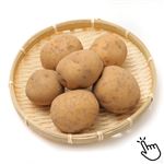 トップバリュ グリーンアイ オーガニック 埼玉県などの国内産 じゃがいも 1袋