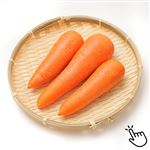 トップバリュ グリーンアイ オーガニック 千葉県 などの国内産 にんじん 1袋