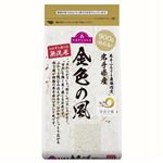 トップバリュ 無洗米 岩手県 産金色の風 900g
