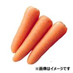 トップバリュ 減の恵み 北海道などの国内産 にんじん 大袋 3～4本入 1袋