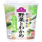 トップバリュ スープ春雨 野菜とわかめ 27.1g