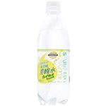 トップバリュベストプライス Sparkling Water 炭酸水 グレープフルーツ 500ml(お一人様24本限り)