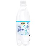 トップバリュベストプライス Sparkling Water 炭酸水 500ml (お一人様24本限り)