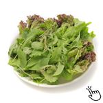 トップバリュグリーンアイ オーガニック 茨城県などの国内産 サラダリーフとベビーリーフ 1パック