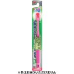 トップバリュ 幅広ヘッドハブラシ 歯学博士推奨 やわらかめ 1本