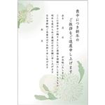 平和堂 インクジェット対応 喪中はがき 菊（ホワイト）15枚入り HMIJ‐8001