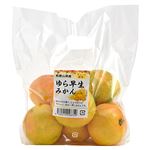 和歌山県産 ゆら早生みかん 1袋