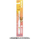 銀座ステファニー化粧品 REACH（リーチ）キッズ ポケットモンスター 乳歯期用 ふつう 1本