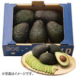 【予約】 アボカド 1箱（5個入り） 【9月25日～9月29日のお受取り】