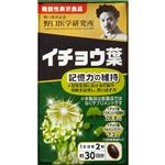 野口医学研究所 イチョウ葉 60粒