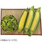 【予約】 新潟県産 茶豆とうもろこしセット 【限定100箱】 茶豆500g／とうもろこし恵味2L3本 1箱 【8月1日～8月5日のお受取り】