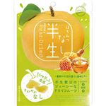 ドウシシャ 半生はちみつなし 65g