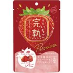 ドウシシャ 完熟半生いちご 45g
