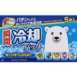 サイキョウ・ファーマ 瞬間冷却パック 5袋