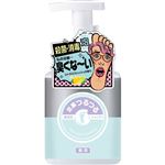 【泡タイプ】エオリア 足裏つるつる薬用泡シャンプー 250ml