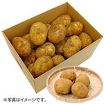 【予約】 長崎県産 じゃがいも小箱3.0kg 1箱 【6月25日～6月29日のお受取り】