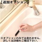 カジタク【追加オプション】洗面台クリーニング（オプションのみでは承れません）※必ず詳細をご確認下さい【水曜日配送不可】