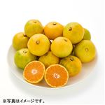 福岡県などの国内産 早味かん 500g 1袋