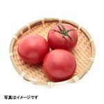 高知県などの国内産 カゴメ トマト（GABAリッチ）1袋