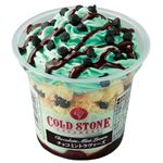 ★コールドストーン チョコミントラヴァーズ 230ml