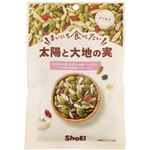 正栄食品工業 まいにち食べたい 太陽と大地の実 60g