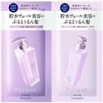 アンドナイン Purunt.（プルント）ヴェーリング美容液シャンプー＆トリートメント お試し 10ml＋10g