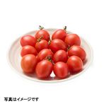 千葉県などの国内産 フルーツミニトマト プレミアム 120g入 1パック