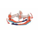 【6歳頃～】ライトアップアーチェリーセット