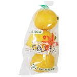 広島県などの国内産 レモン 1袋