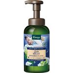 【泡タイプ】クナイプジャパン クナイプ 泡ボディウォッシュ グーテナハト ホップ＆バレリアンの香り 450g