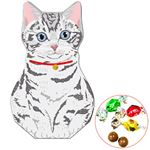 フロンティア わたしのねこねこのメル 10個入
