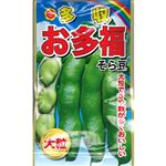 【種】アタリヤ農園 多収お多福そら豆