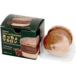 ★インスタイルジャパン MACAPRESSO太っちょマカロン1個入（リアルチョコ味）45g