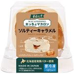 ★インスタイルジャパン 黄金比率太っちょマカロン ソルティーキャラメル 1個入