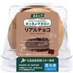 ★インスタイルジャパン 黄金比率太っちょマカロン リアルチョコ 1個入
