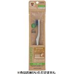 ラピス エコデント コンパクト ふつう 1本
