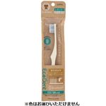 ラピス エコデント レギュラー ふつう 1本